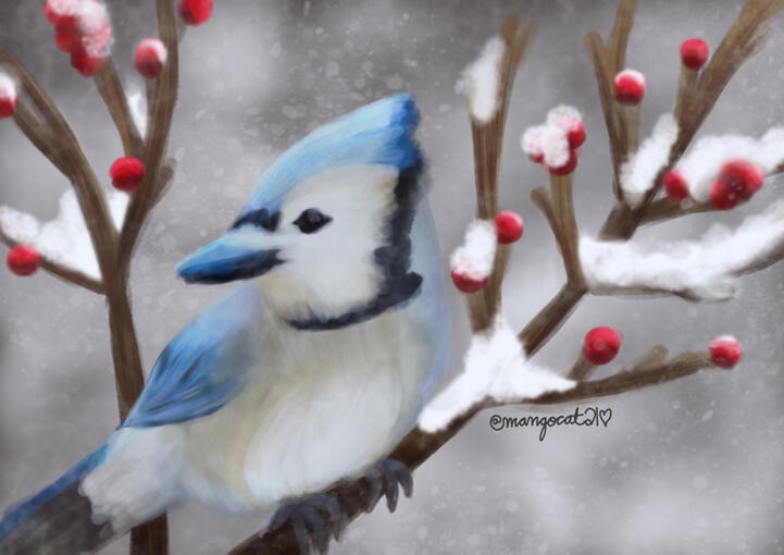 Winter Birb